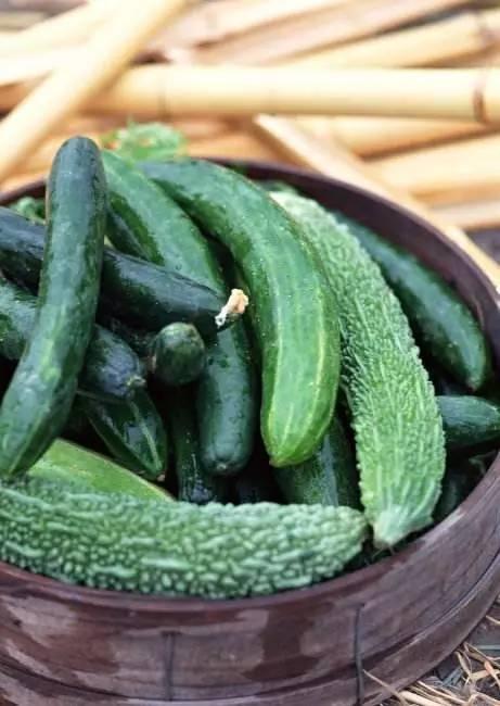 国产黄瓜大视频,探寻绿色健康生活新选择