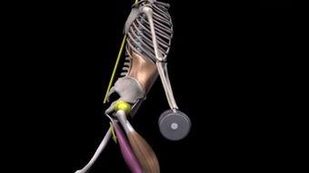 国产3d假人动漫视频,颠覆视觉体验的虚拟现实之旅