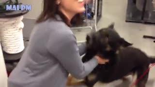 海狗国产搞笑视频,国产萌宠欢乐无限