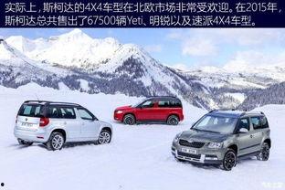 国产4x4试驾视频,驾驭巅峰，探寻硬派越野新境界