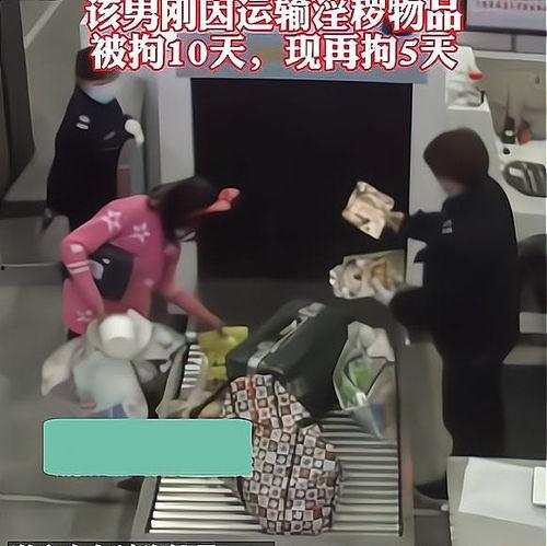 假扮国产的女生视频播放,网络红人背后的真实故事