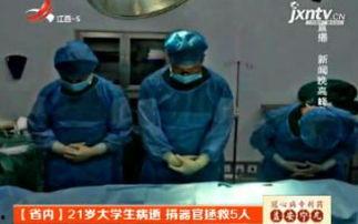 国产机器人比赛视频播放