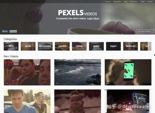 打屁股网站视频国产,打屁股网站视频，展现国产影视魅力  第2张