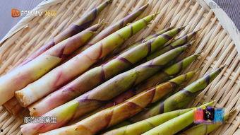 重庆国产竹笋产品介绍视频  第3张